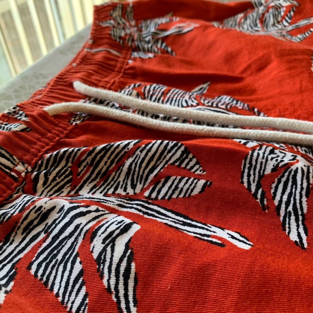 Red Zebra tree Shorts